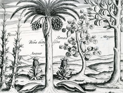 Paysage, Illustration de 